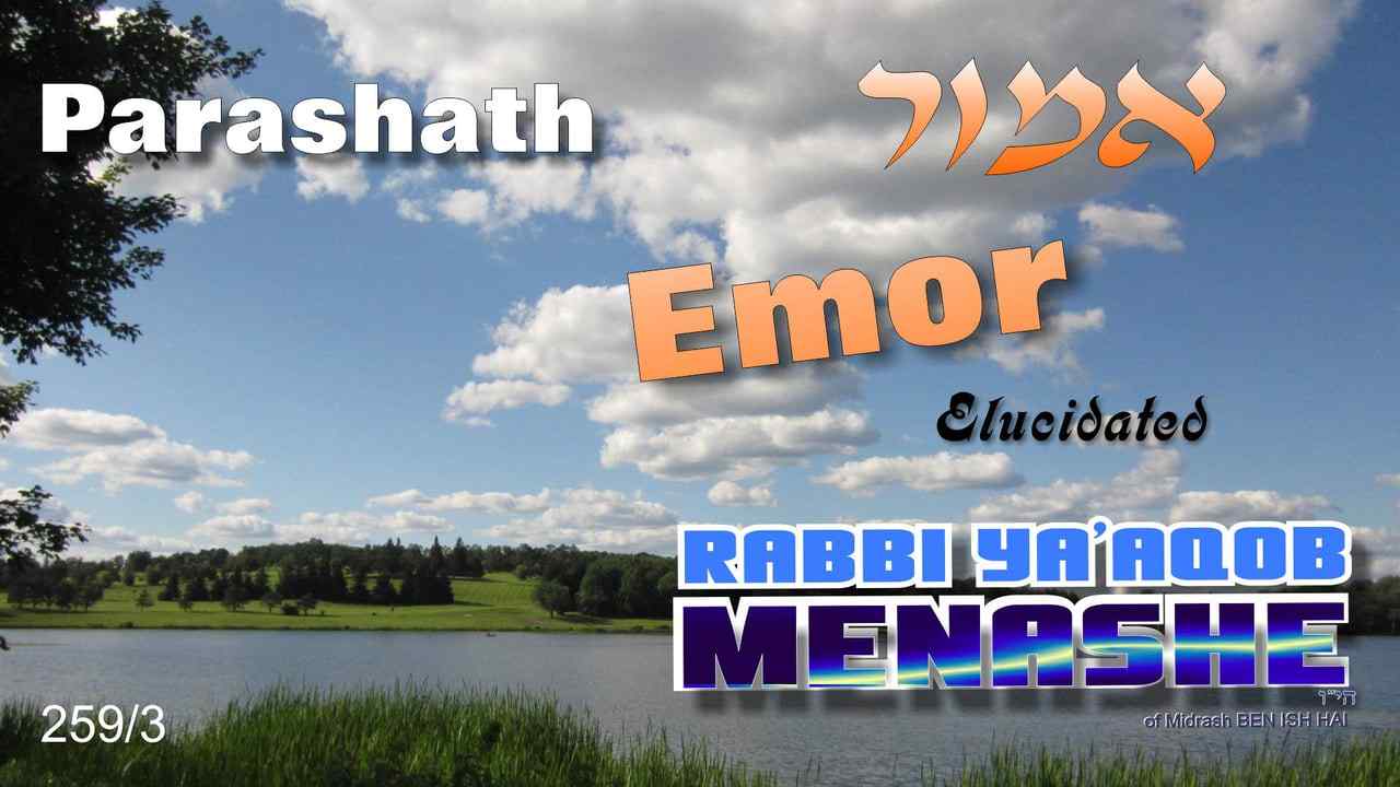 259-3 Parashath Emor by Rabbi Ya’aqob Menashe